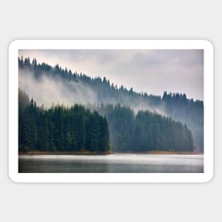 Lake Vidra in Romania Sticker